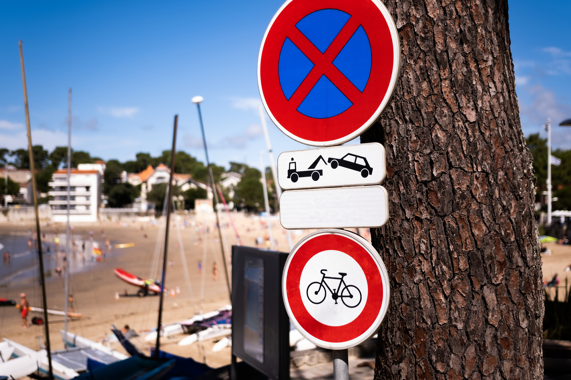 Warnschild für Park- und Fahrradverbot an Baum, am belebten Strand mit Booten und Menschen angebracht.